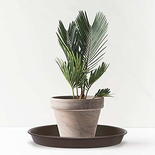 Joyseus Plant Saucer - 12 Inch - 4 Pack Durable Plastic Plant Tray For Plant Pots, Thick Plant Saucer For Indoor & Outdoor Plants. (Brown) #TOP5