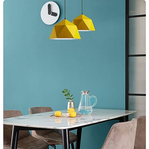 Lámpara colgante Amena E26 de metal para decoración de interiores y escaparates 7