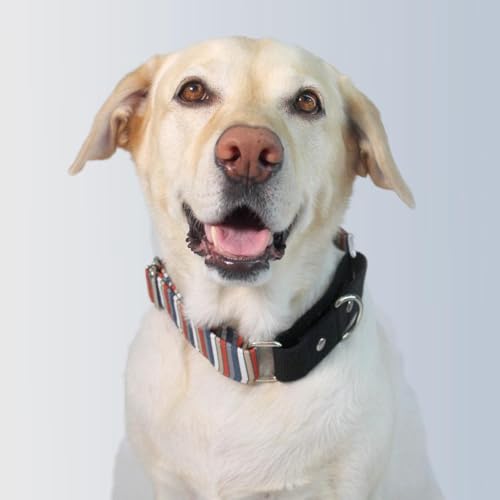 Image of Dog-O-Bow Black Multi-Stripe Martingale Dog Collar, Durable, Comfortable & Adjustable Training Collar (Large)