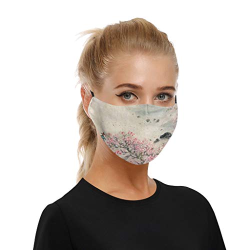 Preisvergleich Produktbild Lulupi Mundschutz 3D Multifunktionstuch Bandana Maske Halstuch,Waschbar Atmungsaktiv Mund-Nasenschutz Winddicht Staubdicht Baumwolle Stoffmaske Motorrad Face Shield für Herren Damen