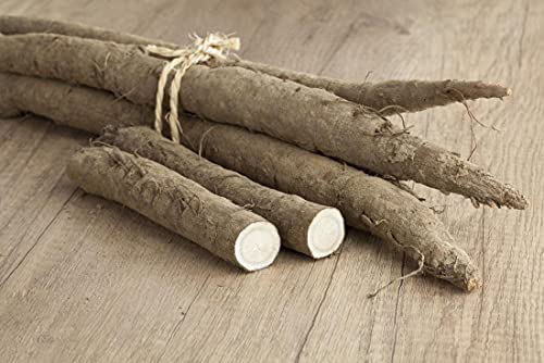 Gaea's Blessing Seeds - Burdock Seeds - Non-GMO Seeds with Easy to Follow Planting Instructions - Open-Pollinated High Yield Heirloom - Image 2