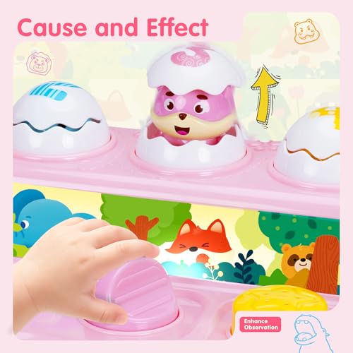 Image of FS Montessori Pop Up Toy for Babies 9-12-18 Months - Quiet Mode Cause and Effect Toys for 1 Year Old Boy Girl - Fine Motor Skills Sensory Infant Toy - Travel Friendly First Birthday Gift