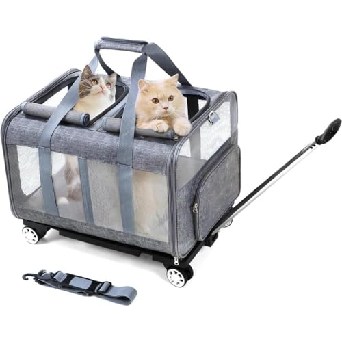 Tufduzo - 2CpybgL[ - LX^[t ʋCbV - L/^Ή ԍډ\ - ʉ@//sp - ܂肽ݎ RpNg[ (O[)