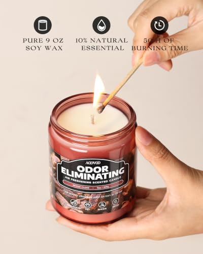 Image of AOOVOO Spiced Clove Odor Eliminating Highly Fragranced Candle - Eliminates 95% of Pet, Smoke, Food, and Other Smells Quickly, Non Toxic Air Freshing Soy Candle, 9 oz Up to 50 Hours Burn time