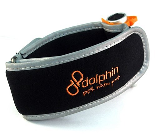 NU Dolphin MP3 Armband Accessory-image-35