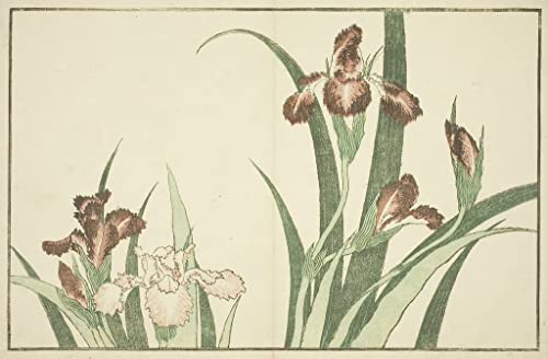 Peinture murale Iris de Hokusai toile abstraite salon grand format