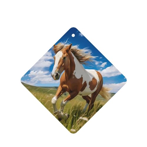 Phayah Horses On The Prairie - Ambientador cuadrado para colgar...