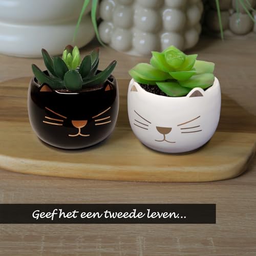 Originele Decoratieve Kattenkaarsen, Set van 2 Geurkaarsen Geschenken, Geurkaarsen voor Home Decoration - Afbeelding 5