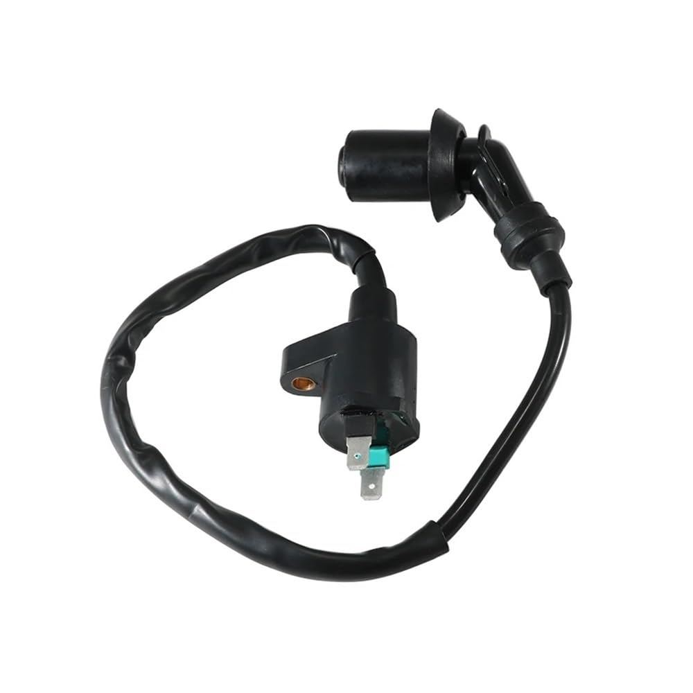 Bobine d'allumage Haute Tension 170 90 200 pour motoculteur et moteur thermique - 5