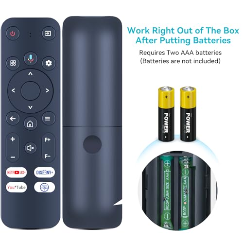 Télécommande vocale ZWP pour projecteur HOMPOW C10 HD 4K noir - 7