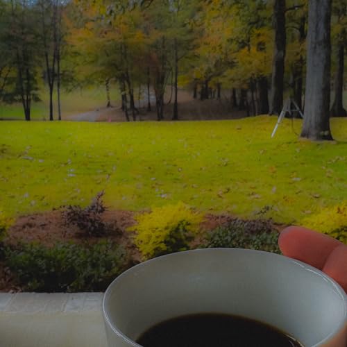Power Outages and Porch Sitters