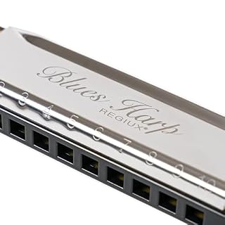 Professional Blues Harp Diatonic Harmonica, 10-Hole C Key, Sleek Design with Protective Case for Professional Player & Beginner, Gift for Family, Friends, Adult, Students - Les Beatles, Paul McCartney, John Lennon, RIngo Starr, George Harrison Professional Blues Harp Diatonic Harmonica, 10-Hole C Key, Sleek Design with Protective Case for Professional Player & Beginner, Gift for Family, Friends, Adult, Students – Image 4