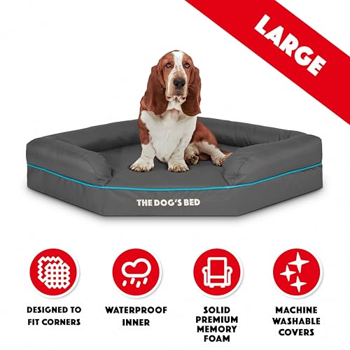 The Dog's Bed Orthopädisches Hundebett mit Memory-Schaum, Wasserdicht, Groß, Grau und Blau, lindert Arthritis und Hüftdysplasie, Therapeutisch und Unterstützend, Waschbar, Tierärztlich Geprüft