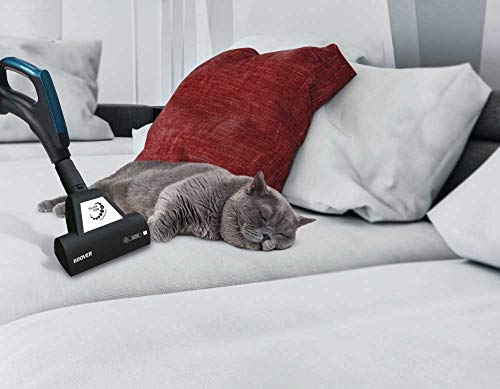 Hoover Optimum OP60ALG, Aspirador con bolsa, accesorio especial alergias y mascotas, Potencia 450W, 61dBA, Filtros Epa, color azul [Clase de eficiencia energética A++]