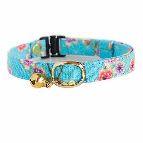 y LG  z L  a  Z[teBobNt Sxg t (S, F) : a-B-S