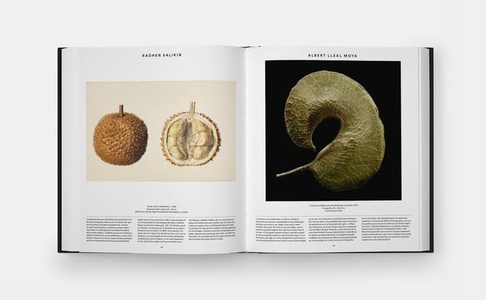 Plant: Exploring the Botanical World, Compact Format (Spanish Edition)