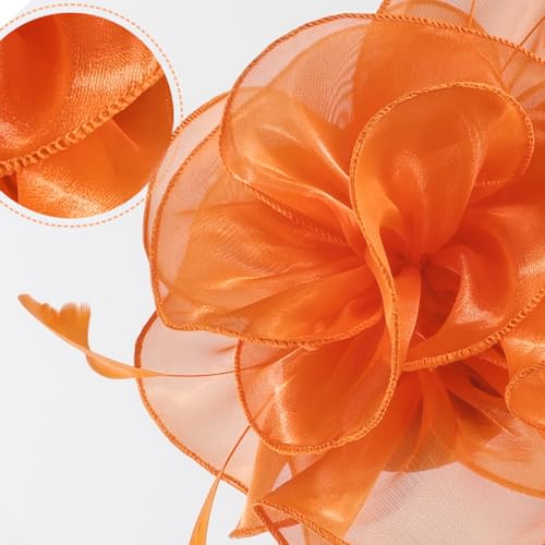 Image of DRESHOW Fascinators Hat Tea Party Headwear Ribbons Feathers on a Headband and a Clip for Women