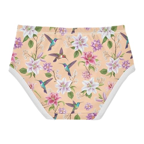 Joisal Colorful Birds Pastel Florals Toddler Girls Underwear 2t Cotton Cute Panties Girl Bright Briefs Undies Kids2