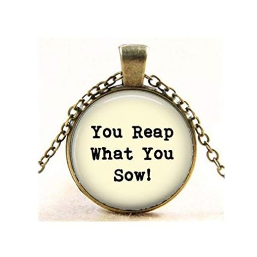 Skörda vad du sår hänge, gör bra val, vänlighet spelar roll, karma, gör skillnad, halsband, presentnyckel kedja
