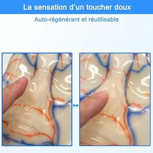 Modèle de formation en microcosmétique pour stopper les erreurs d'injection