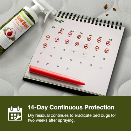 Image of EcoVenger (Formerly EcoRaider) Bed Bug Killer with Remote Sprayer 1Gal - Kills 100% All Stages on Contact- Kills Resistant Bugs- Kills Eggs- 14 Day Residual Protection- Non-toxic- Child & Pet Friendly