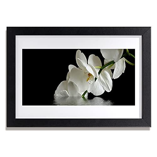 Cadre photo orchidée zen affiche murale fleurs pour ambiance spa de cuisine