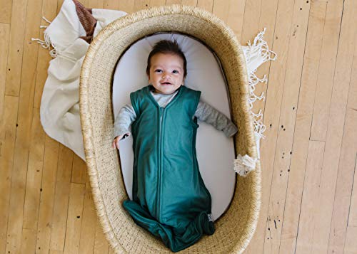 Image of Copper Pearl Premium 3-Layer Knit Sleep Bag, Journey, 0-6 Month