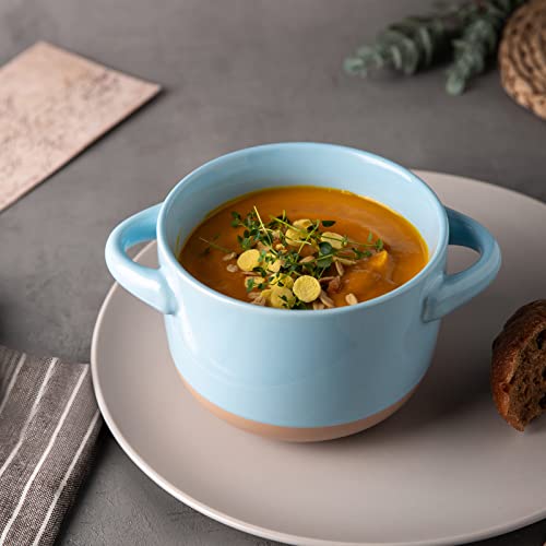 Amorarc 24 Ounces Soup Bowls With Large Handles And Lids, Stoneware Bowls Set Of 4 For Soup,Cereal,Stew,Noodle,Colourful Ceramic Kitchen Bowls, Microwave&Dishwasher Safe, Multicolor #TOP3