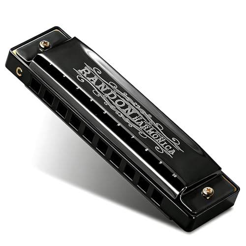 Metal harmonica with case