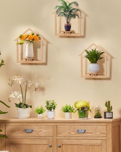 yadoker Wall Planters for Indoor Plants,Bamboo Hanging Plant Hold...