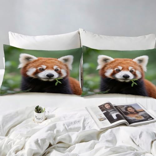 Housse de couette 140x200 panda parure de lit microfibre premium - 4