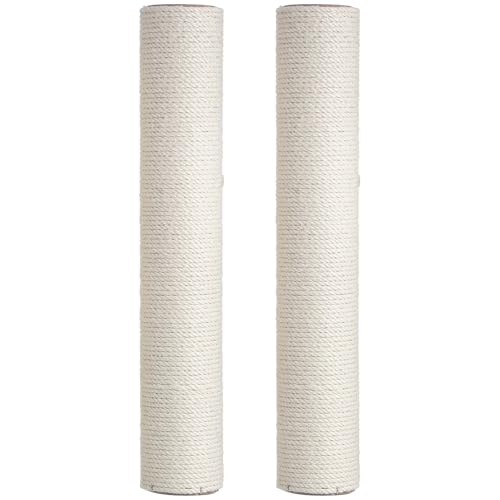 TOKIDNY 2 Lp܌|[ F  lWpx Lbg^[Cp L^i RfނŒ܂̌Nێ