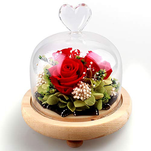 Swonuk Konservierte Rose, Ewige Rose LED Lichterkette Hochzeit, Geburtstag, Valentinstag, Muttertag, Jubiläum - Echte Rosen