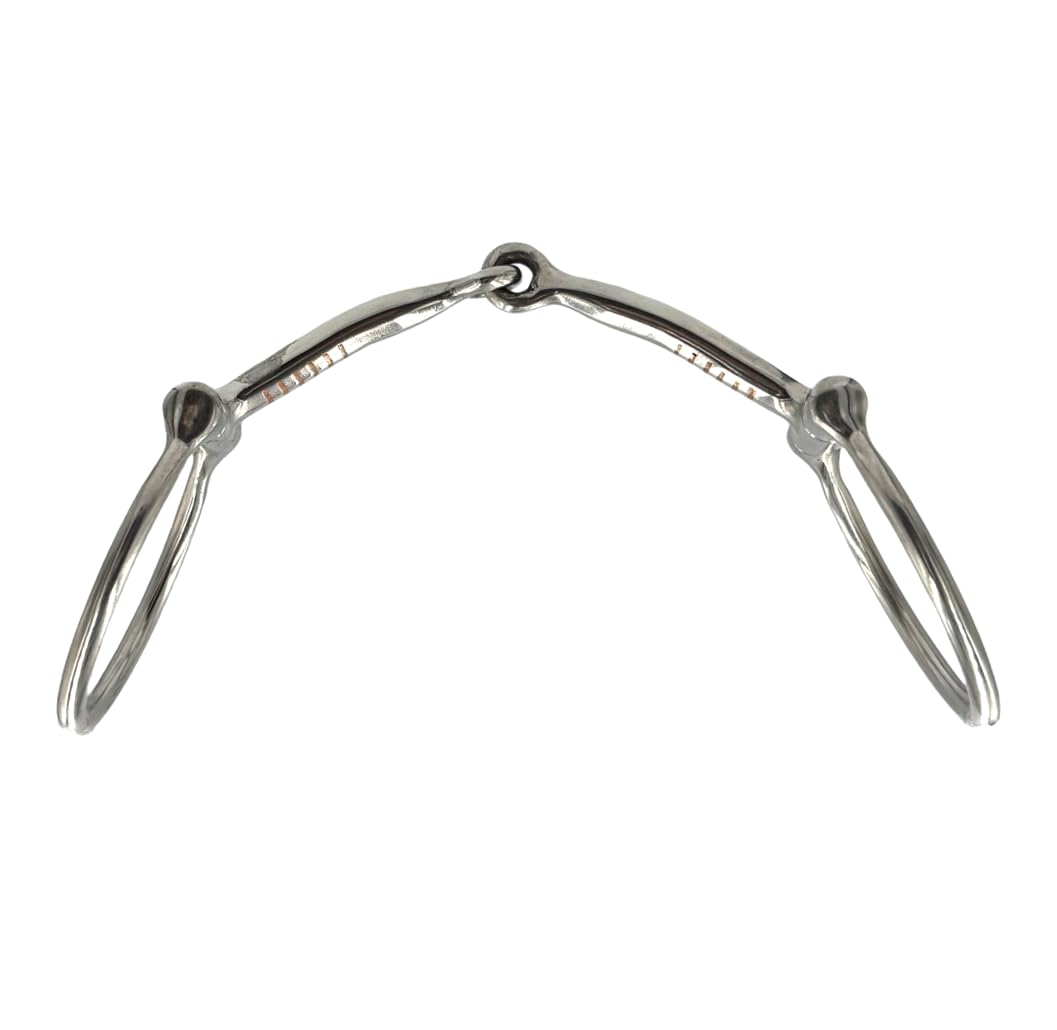 ES0219 JW Gebiss Westerngebiss D-Ring D-Trense Einfach Gebrochen aus Edelstahl Ringdurchmesser 63 mm Gebissstärke 11 mm (14.5 cm)