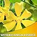 K-Y Natural Feeling Lube with Botanical Essence, Personal Lubricant and Massage Gel, Water-Based Formula, Safe to Use with Silicone Toys and Condoms, For Men, Women and Couples, 1.69 FL OZ