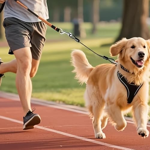 HUANR Bissfeste Hundeleine, Stahlseil Hund Sicherheitsgurt, Hundeleine Verlängerungsseil mit 360° Schnalle, Schwarzes Hausleine für Hunde, für Zuhause, Park und Camping