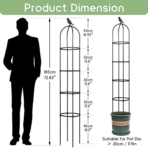 Ironfun Plant Trellis For Climbing Plants Support Outoor/Indoor 2-Pack, Garden Trellis For Potted Plants Climbing, Obelisk Trellis Tomato/Rose，Plant Vine Support Houseplant #TOP4