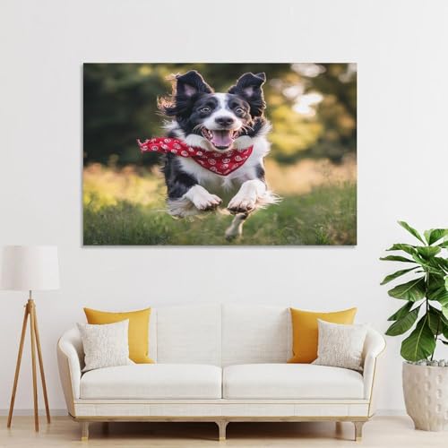 Cuadro de Border Collie para tapar imperfecciones de pared con arte 3