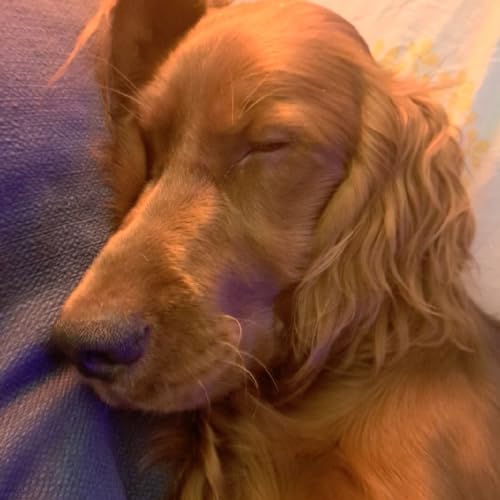 Episodio 14 - Onda Radio-The Big One