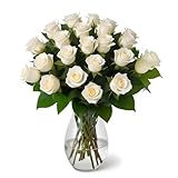 18 White Roses with Vase | Arabella Bouquets | Real Fresh Flowers for Delivery, Gift for Birthday Women, Congratulations, Anniversary, Thank You, Valentine's Day