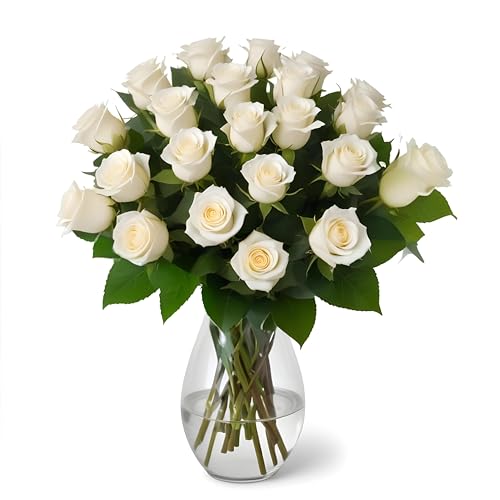 18 White Roses with Vase | Arabella Bouquets | Real