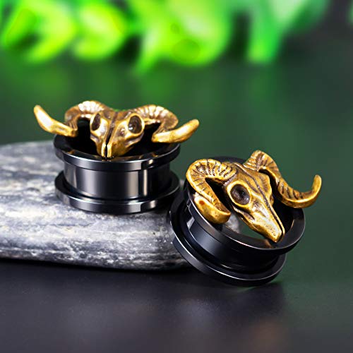 Cooear Gauges Ears Plugs And Tunnels Black Screw Back Earrings Upgrade Piercing 1 Pair Gift Packing Stretchers 2G To 1 Inch. #TOP2