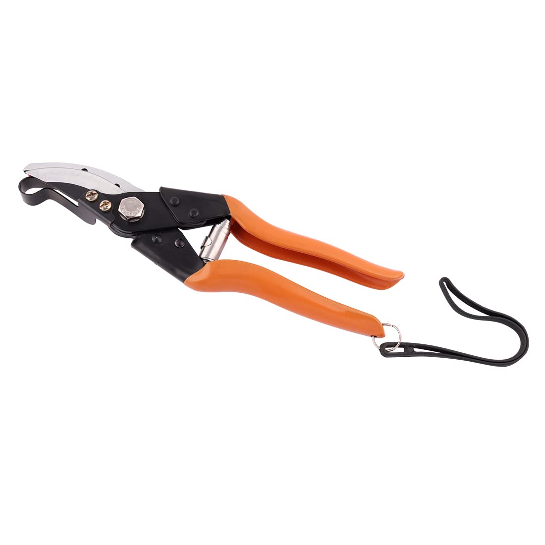 Falcon FCHM-902 Steel Cut and Hold Secateur (Multicolor) (B01E77LLOU) Amazon Price History, Amazon Price Tracker