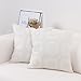 baibu Embroidered Cushion Cover Unique Pattern Designs Throw Pillow Cover Ivory White