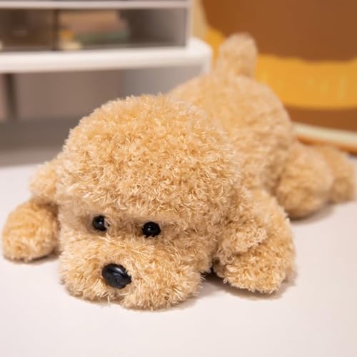 yWixerozʂ NbV qp v[h Ck xr[  ɗD ӂ _炩  pr a NX}X Mtg (38cm,J[LF)