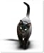 Produktbild Merchandise for Fans Mauspad/Mouse Pad aus Textil mit Rückseite aus Kautschuk rutschfest für alle Maustypen Motiv: Katze schwarz mit grünen Augen [05]
