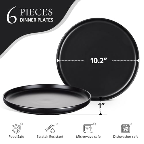 Image of E-far 10.2 inch Stoneware Dinner Plates Set of 6, Large Modern Ceramic Dishes, Round Salad Plate for Home Kitchen Restaurant, Microwave & Dishwasher Safe - Matte Black