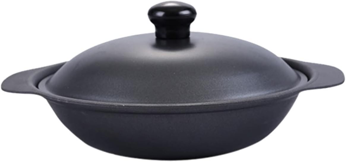 Burn Resistant Iron Casserole with Lid Non Stick Cast Iron Cookware for Even Heating and Comfortable Grip Kitchen Soup Pot for Home Cooking