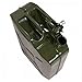 Teekland 5 Gallon 20L Metal Gas Tank Can (US Stardard) Gas Can Power Emergency Backup Tank with Flexible Spout Green (1)