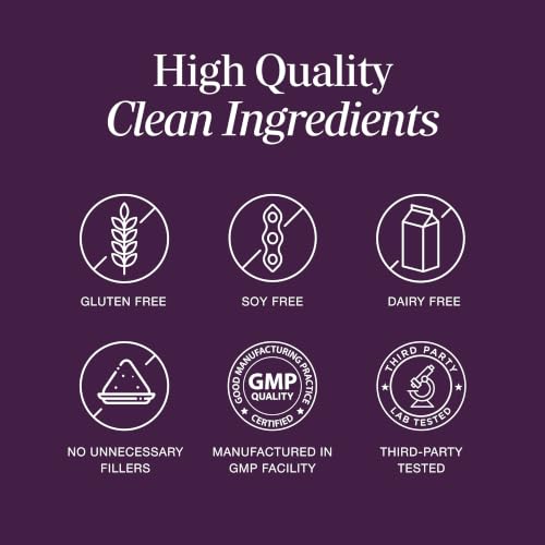Sandhu's Elderberry Vitamin C & Zinc